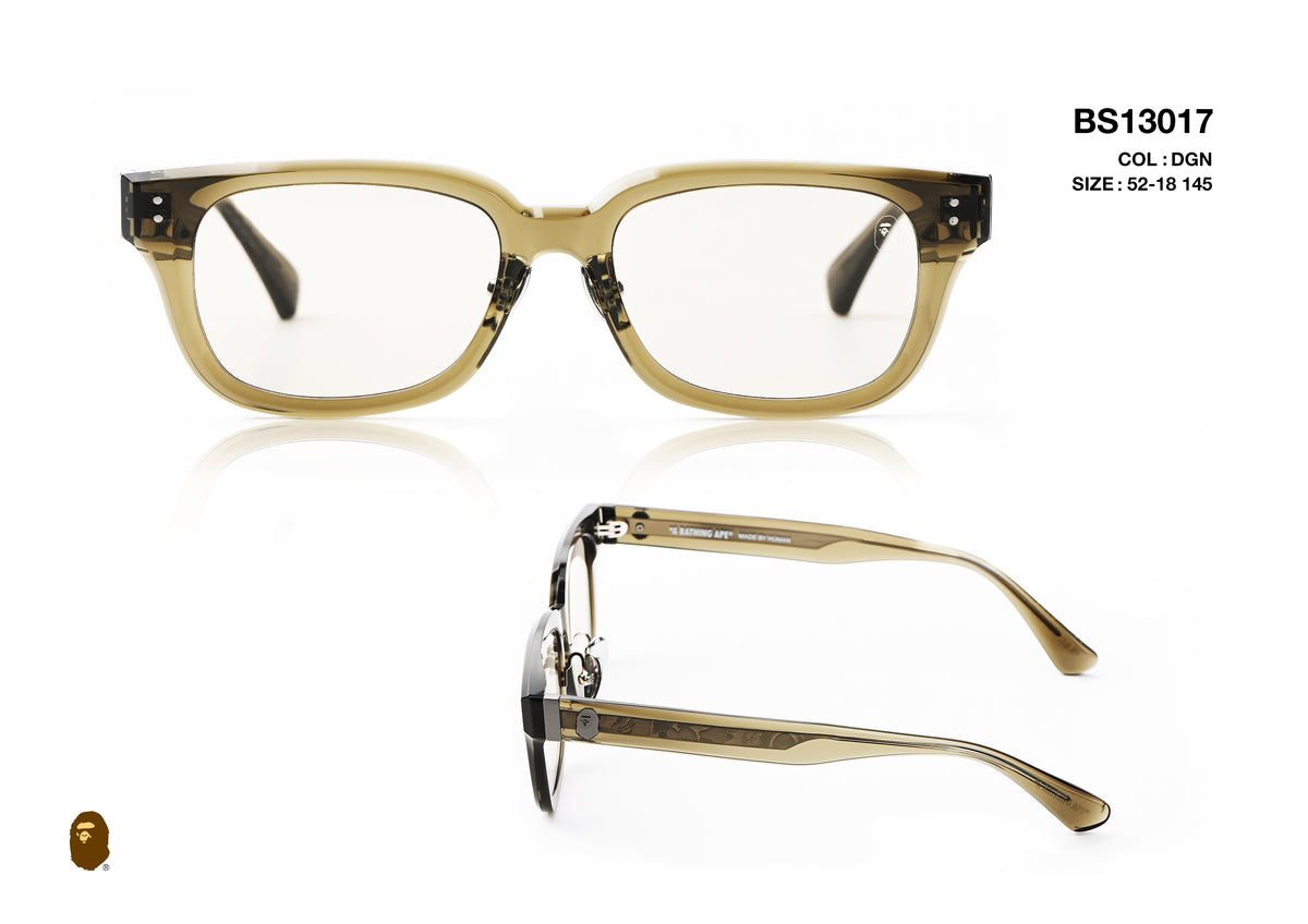 BS13017-D