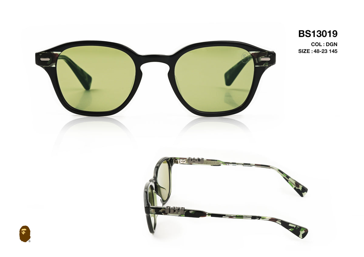 BS13019-D
