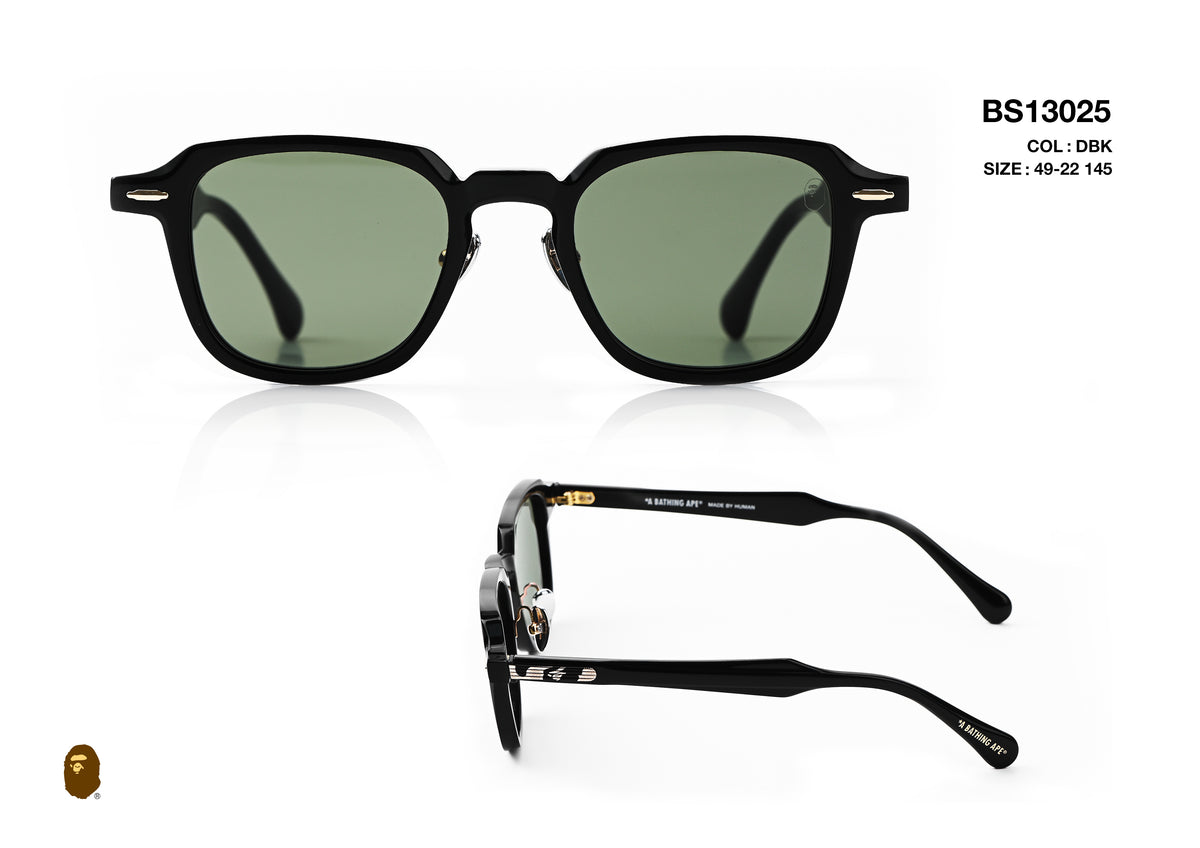 BS13025-D