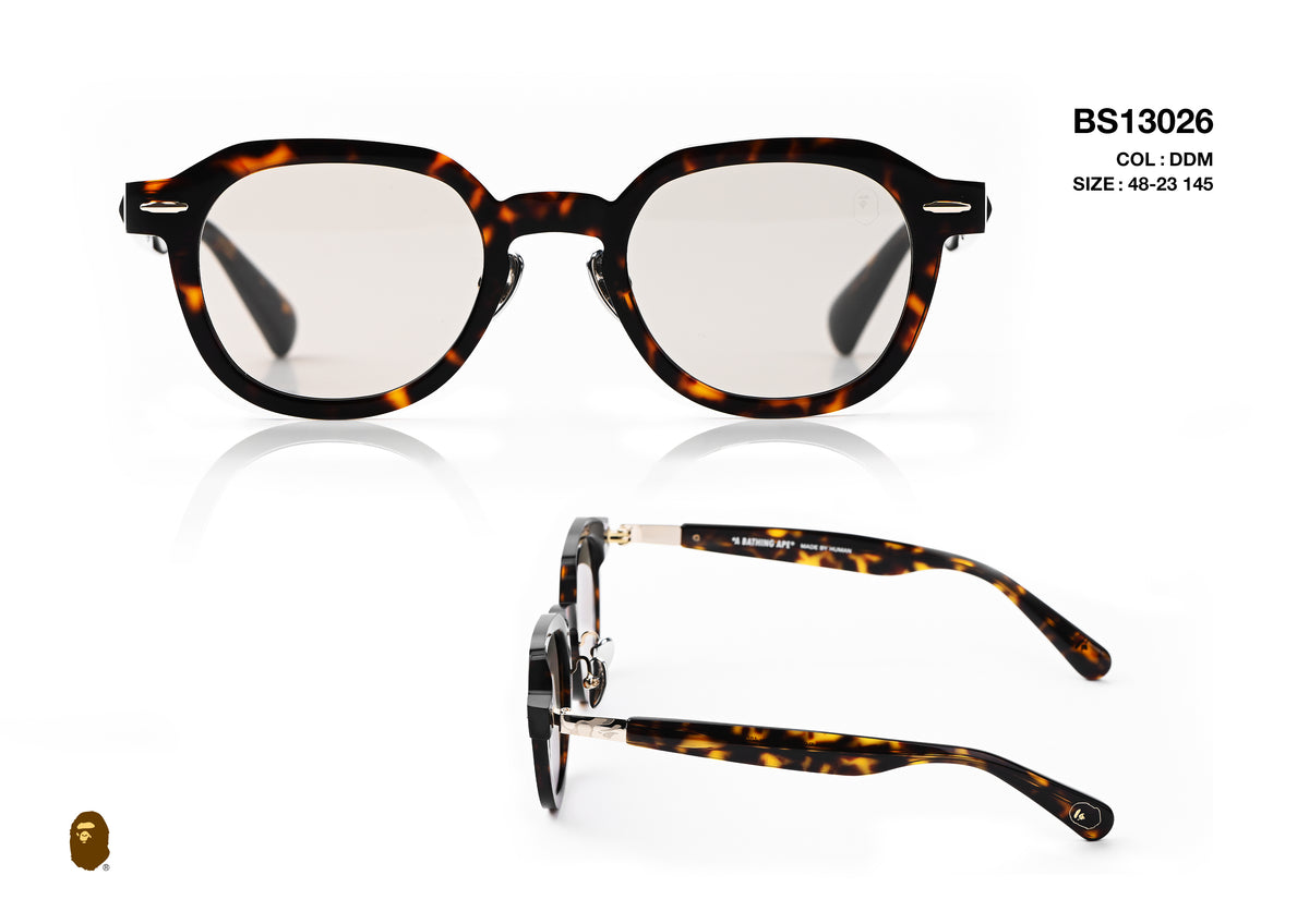 BS13026-D